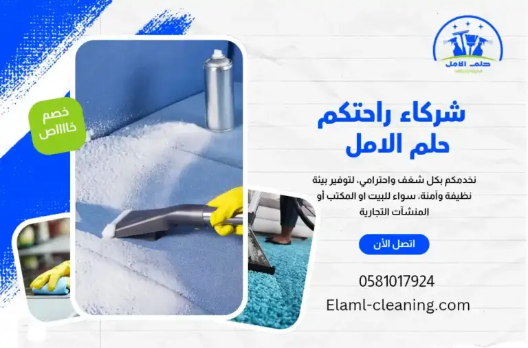 شركة تنظيف كنب بالوجه