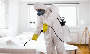 شركة تعقيم شركات بتبوك