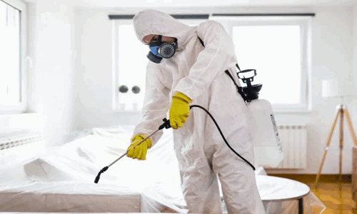 شركة تعقيم شركات بتبوك